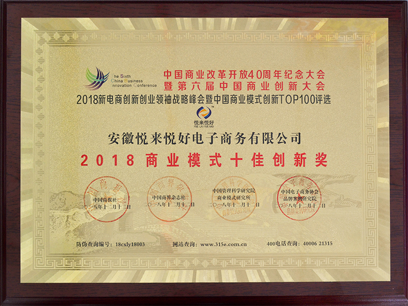 2018商业模式十佳创新奖