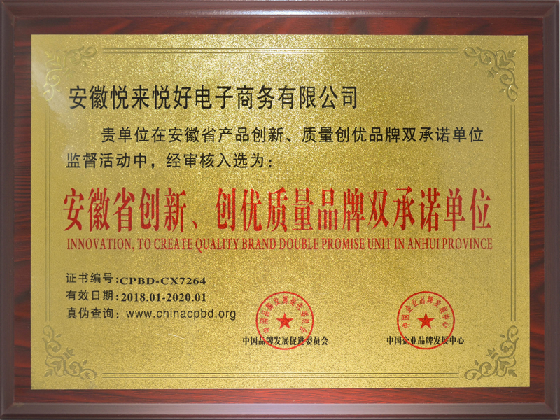 安徽省创新、创优质量品牌双承诺单位