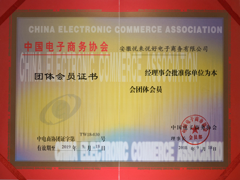 中国电子商务协会团体会员证书