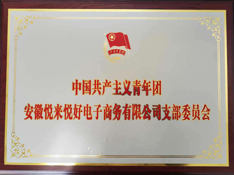 共青团公司支部委员会