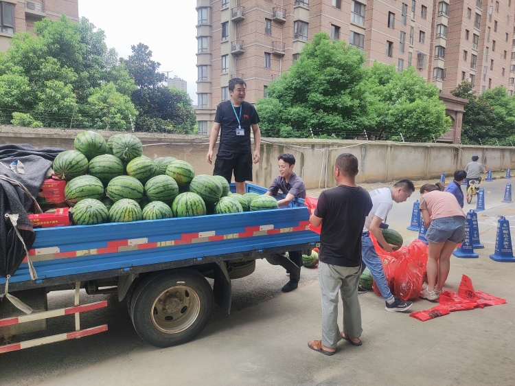 “瓜分幸福·爱心助农”——悦来悦好为员工发放夏日福利
